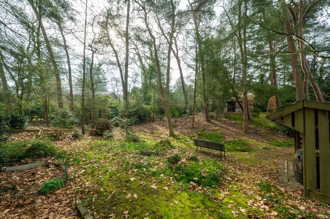 Photo 41 of F.A. Molijnlaan 76