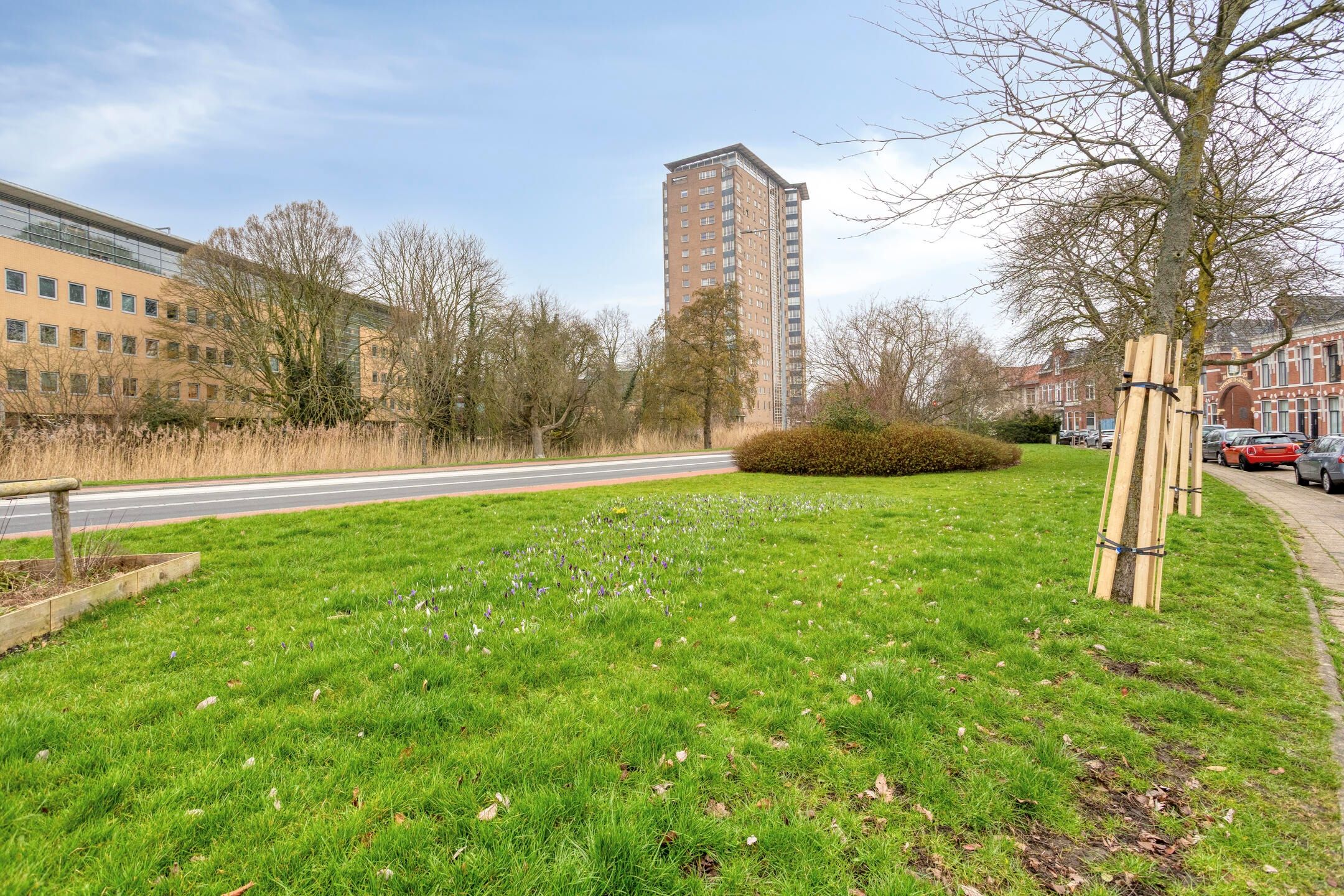 Foto 24 van Petrus Campersingel 31-5