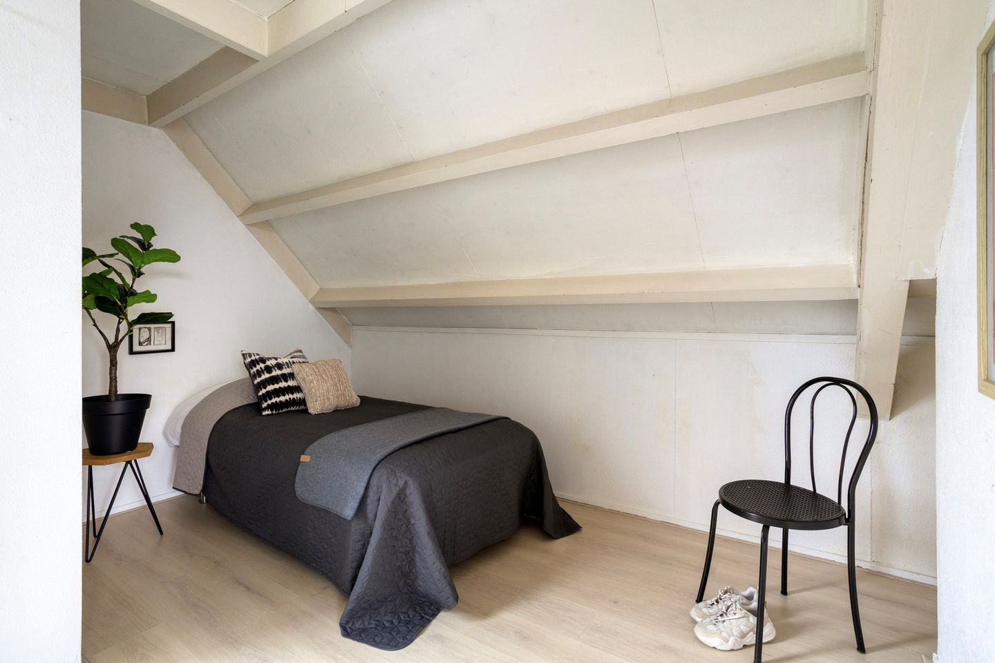 Foto 19 van Petrus Campersingel 31-5