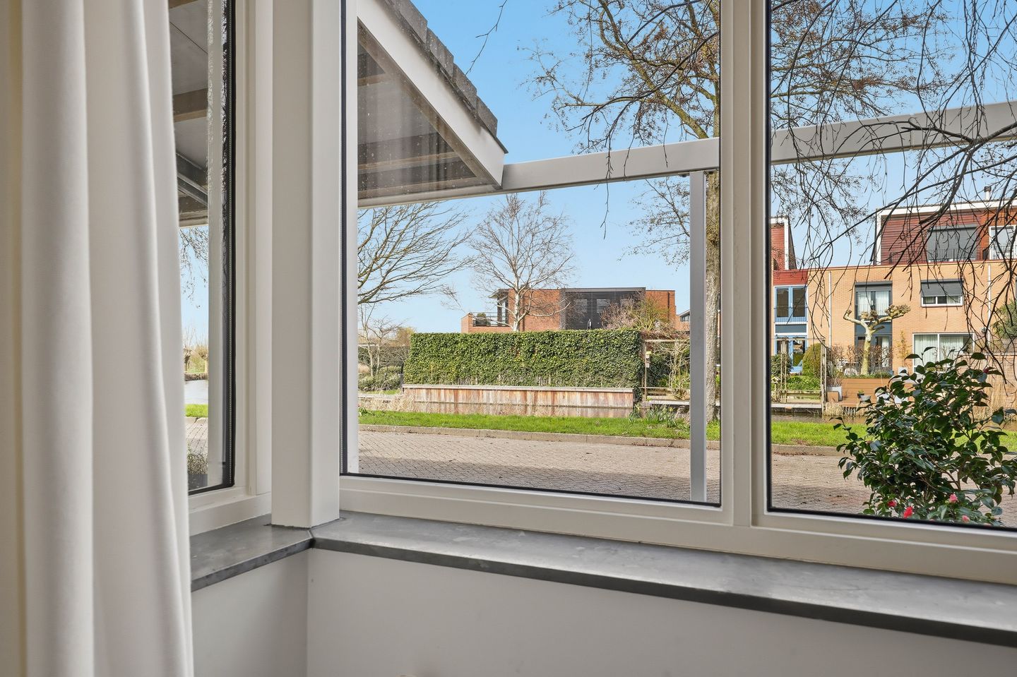 Foto 4 van Akkerhommel 5