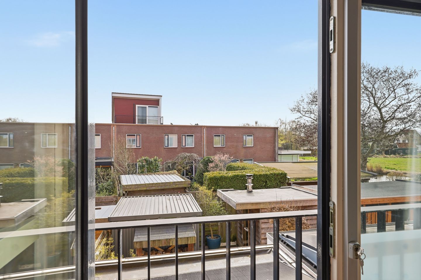 Foto 35 van Akkerhommel 5