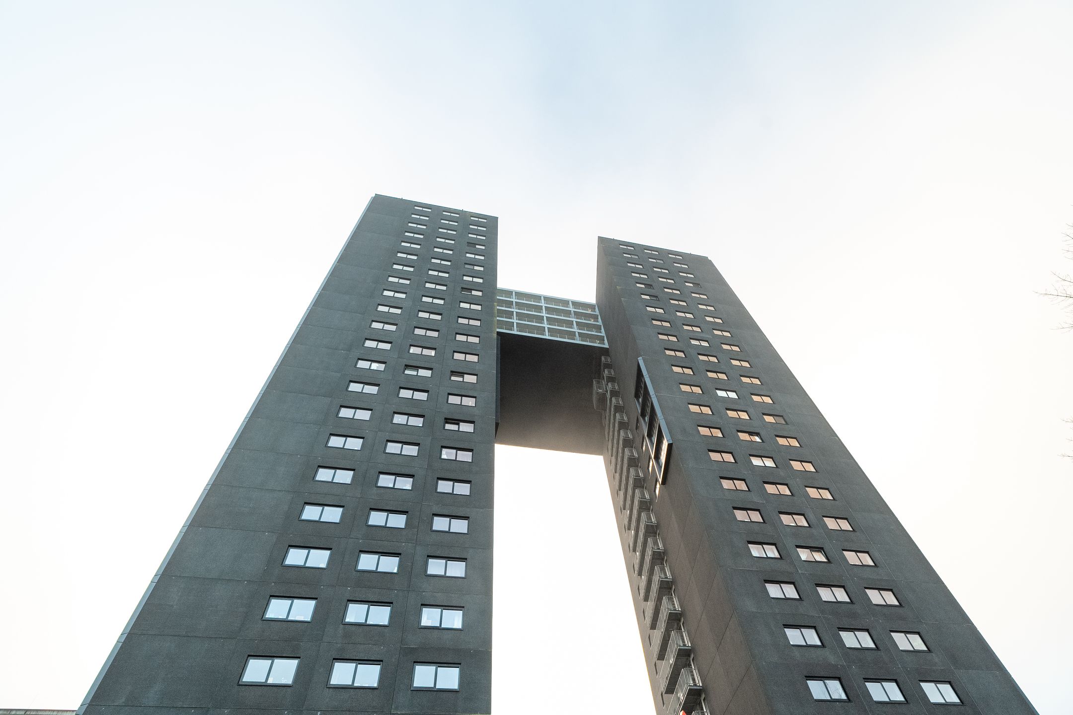 Photo 60 of Regattaweg 454