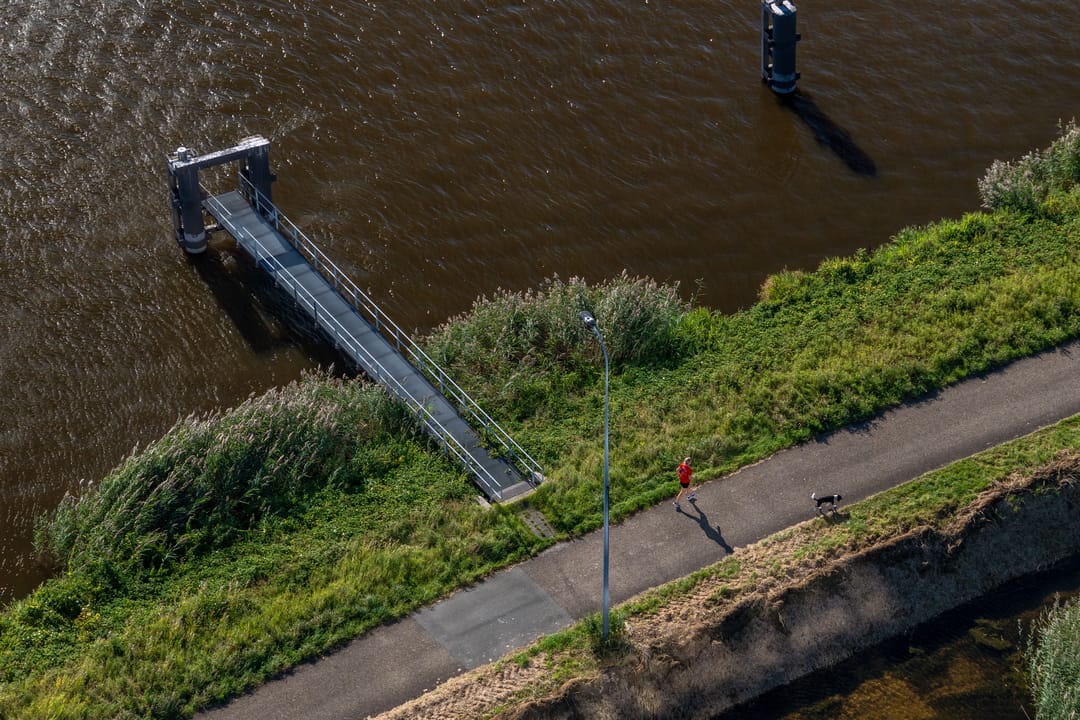 Photo 38 of Regattaweg 454