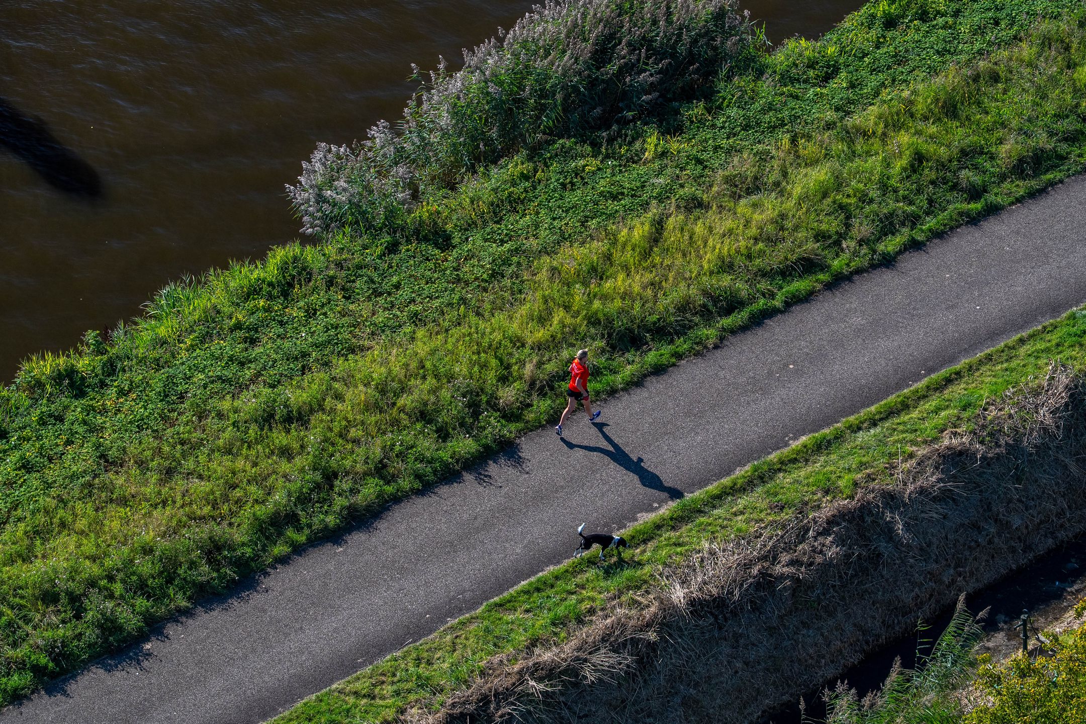 Photo 39 of Regattaweg 454