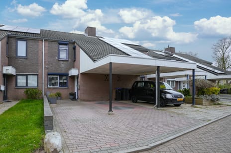 undefined main image