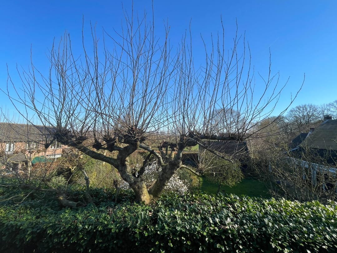 Foto 7 van Dorpsstraat 30-A06