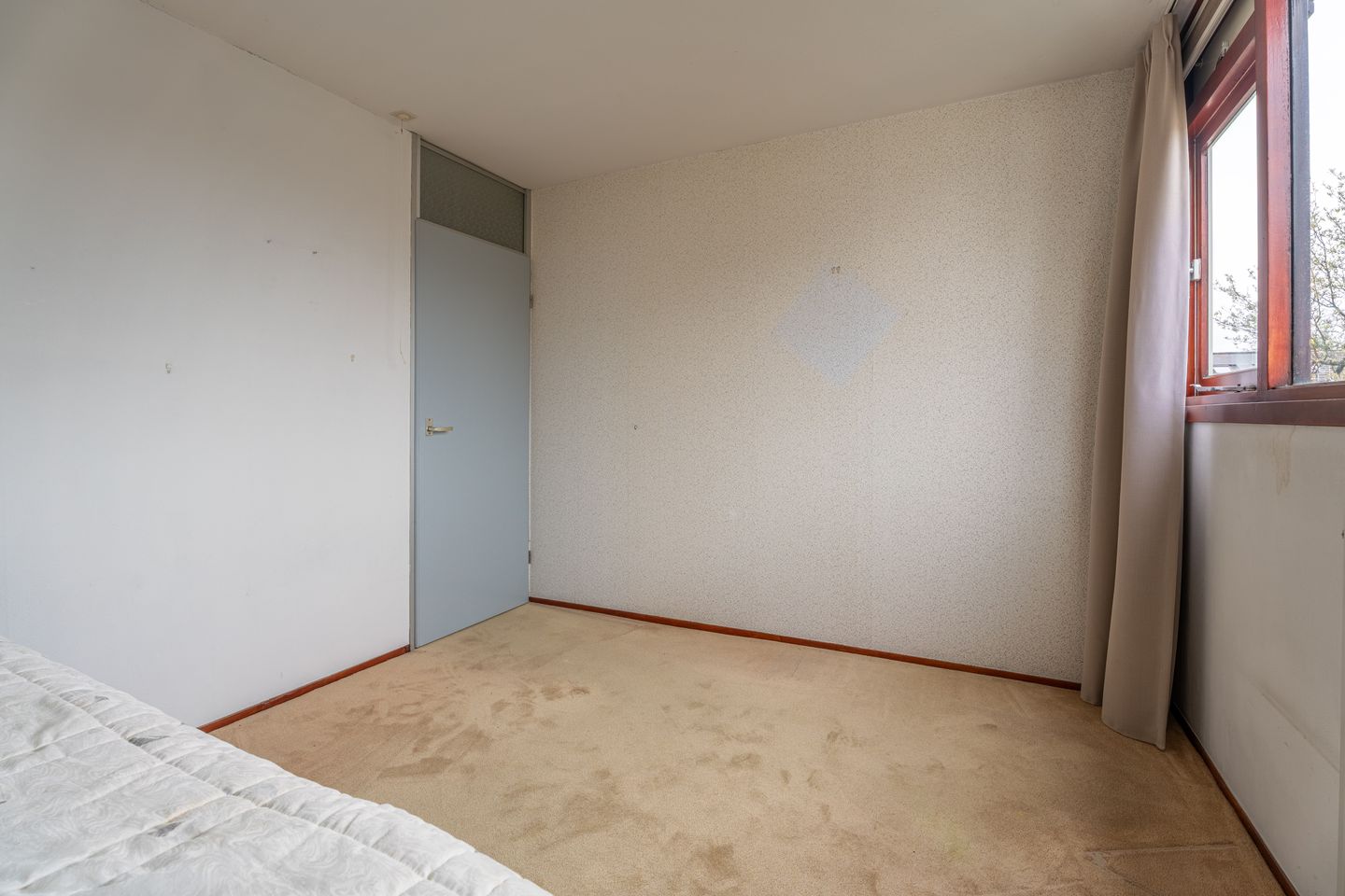 Foto 14 van Weigeliadal 1