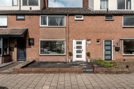 undefined main image