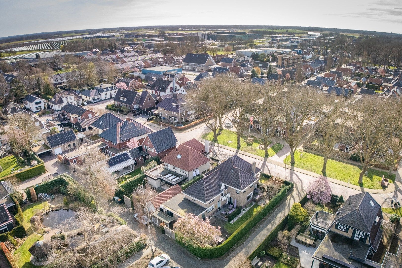 Foto 3 van Platanenplein 10