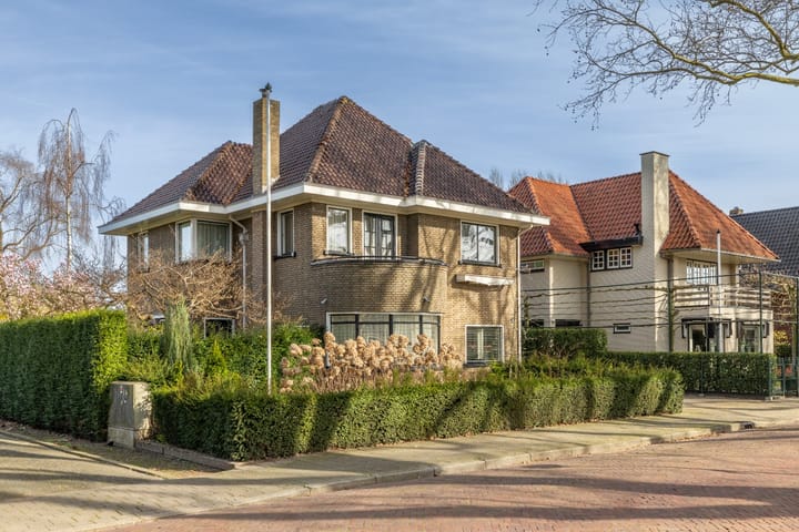 Foto 4 van Platanenplein 10