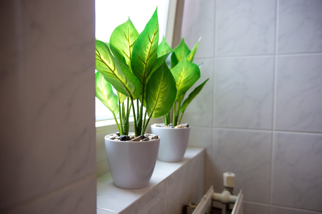 Photo 37 of Wethouder Tielenstraat 20