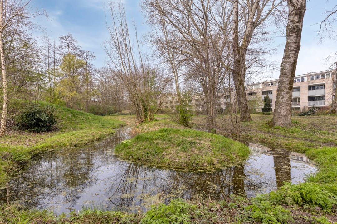 Foto 37 van Seringenpark 15