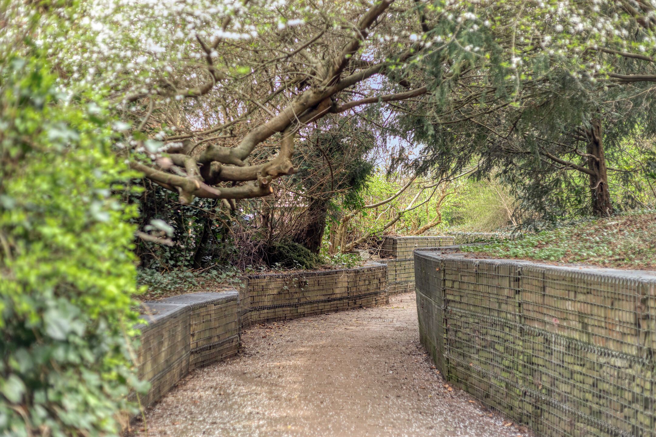 Foto 36 van Seringenpark 15