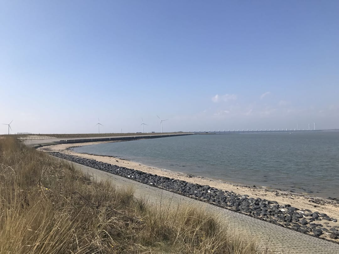 Foto 8 van Cardium 33