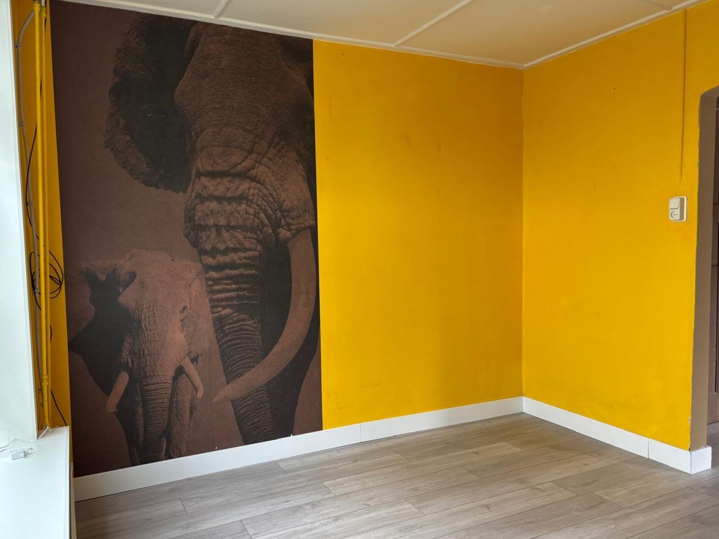 Photo 20 of Bogaardstraat 18