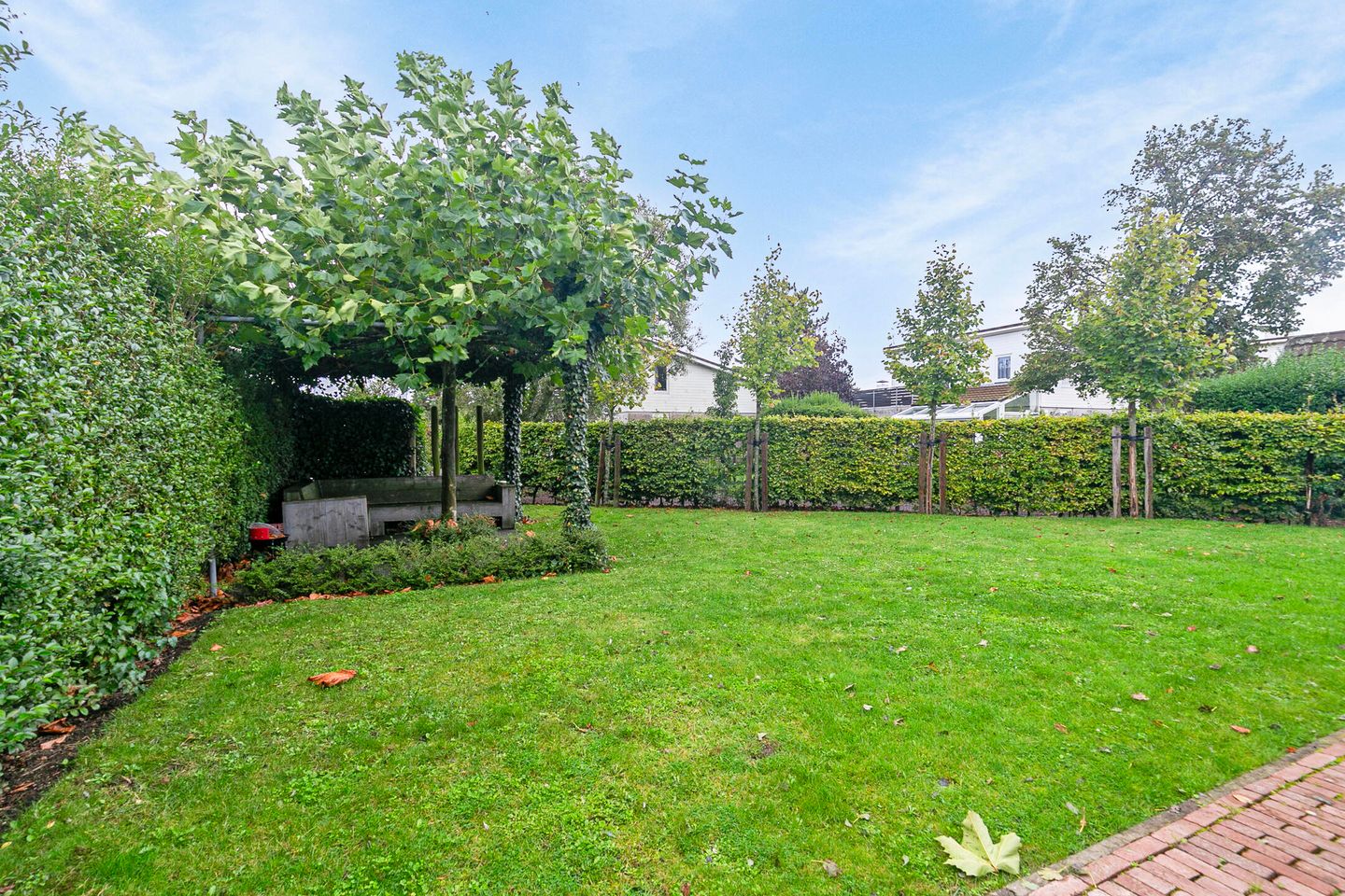 Foto 5 van Cardium 33