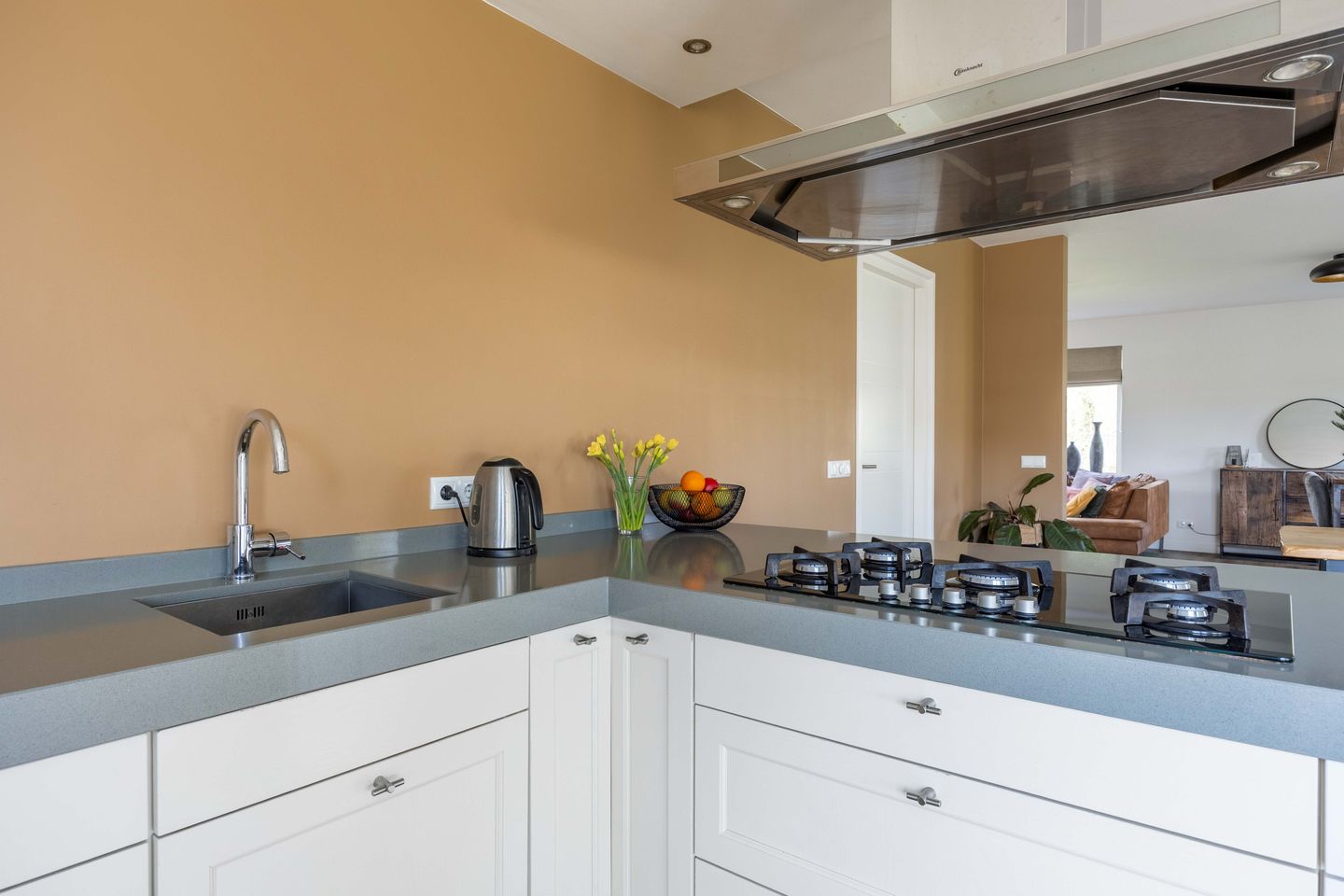 Photo 19 of de Noord 67