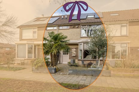 Reigersingel thumbnail