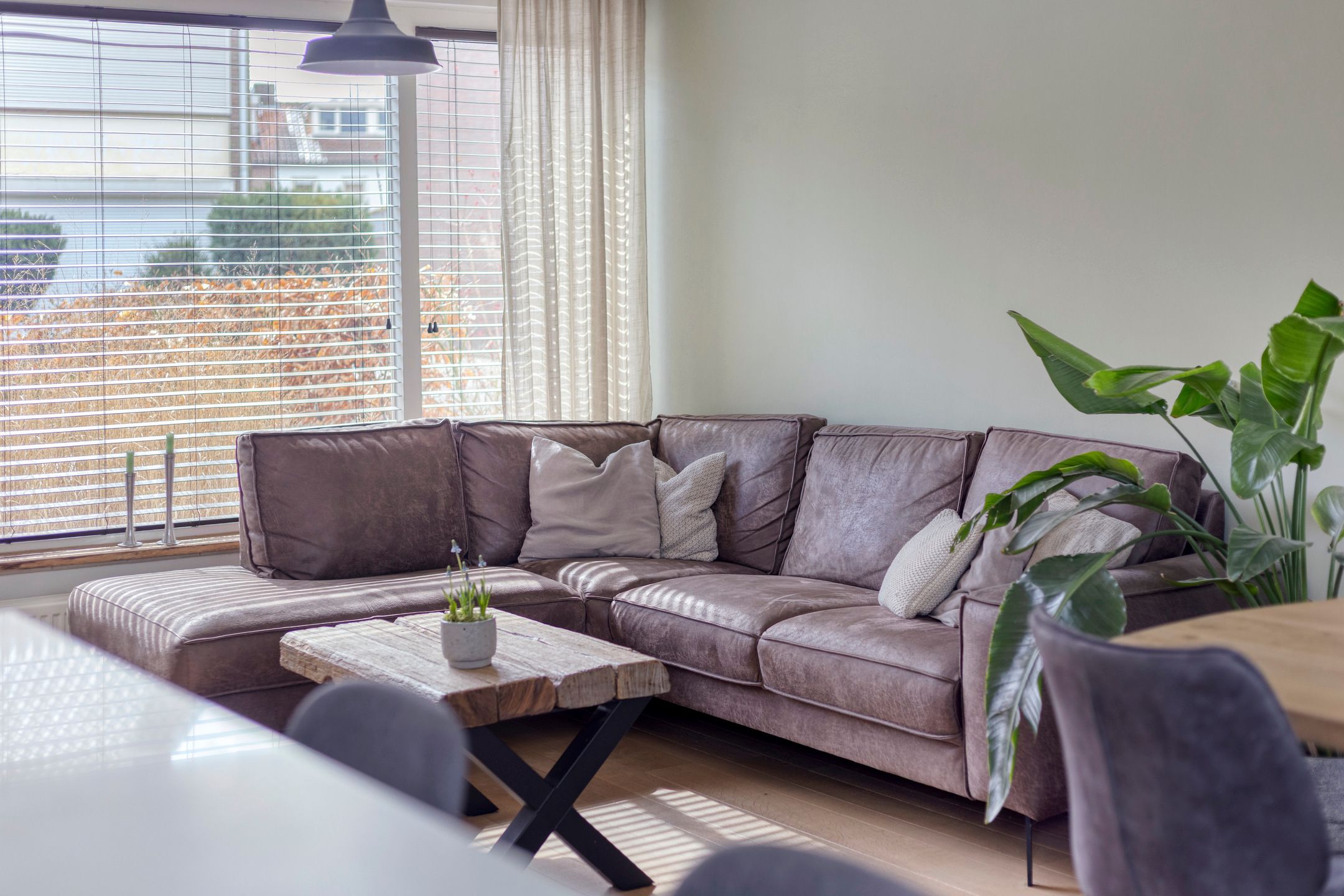 Foto 12 van Mgr. Dr. Th. Goossensstraat 45