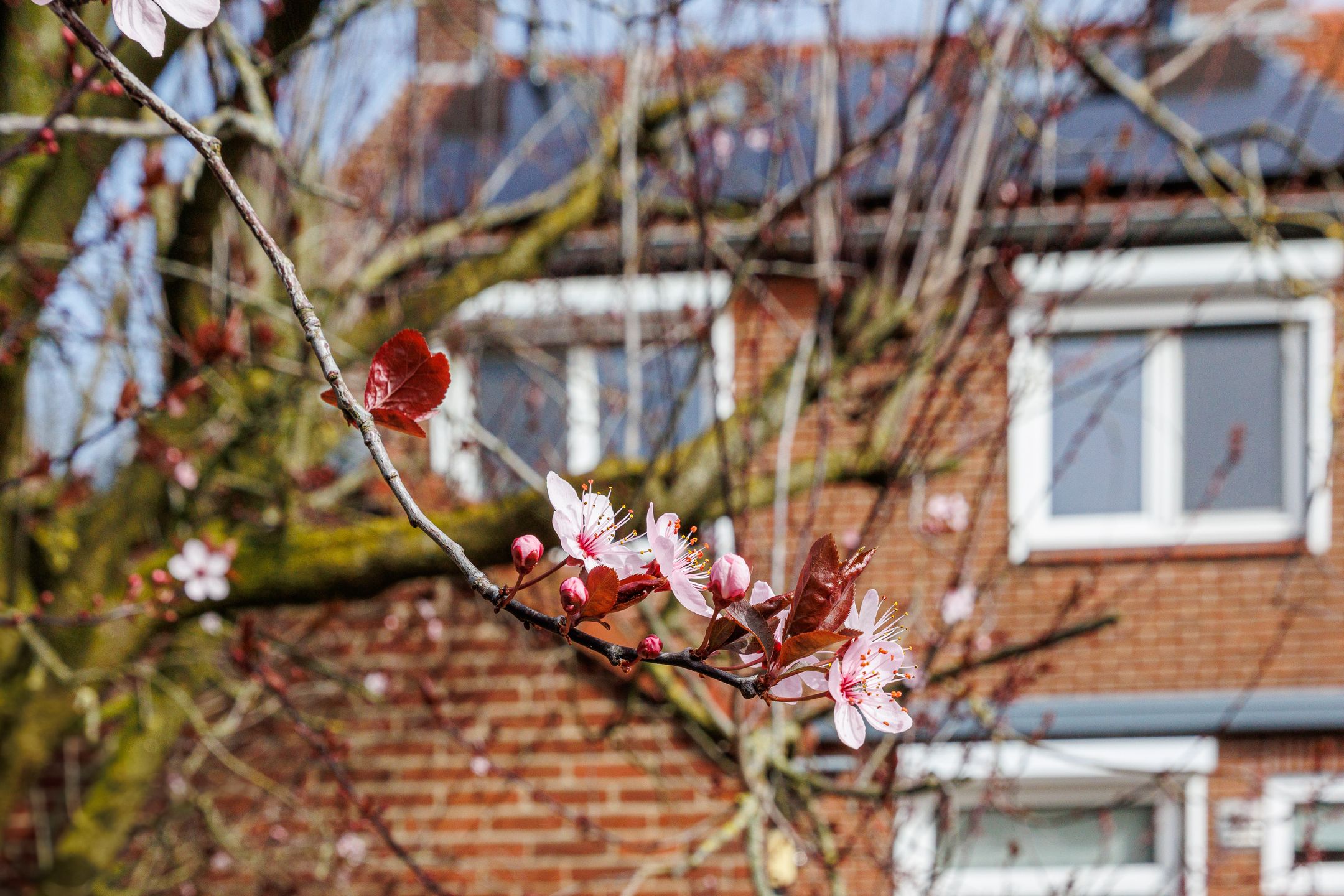 Foto 51 van Gildenstraat 10