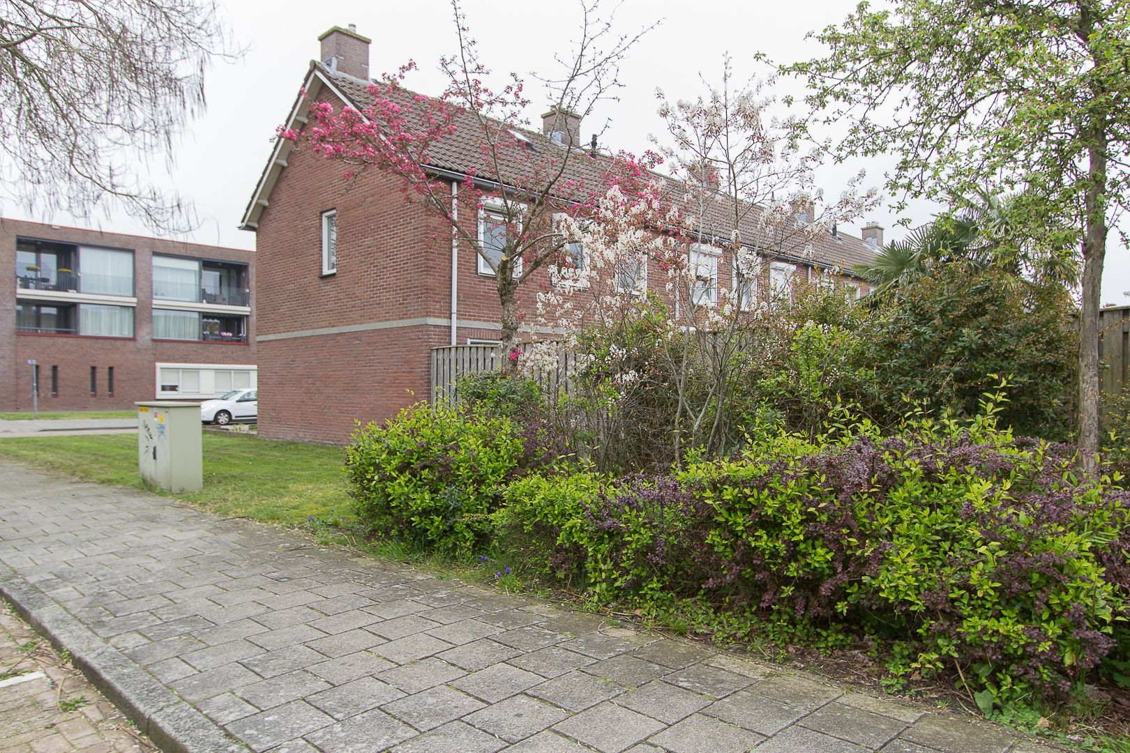 Photo 6 of Langendijkstraat 13