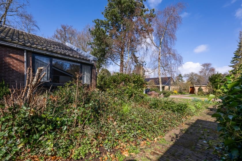 Foto 52 van Spillaan 22