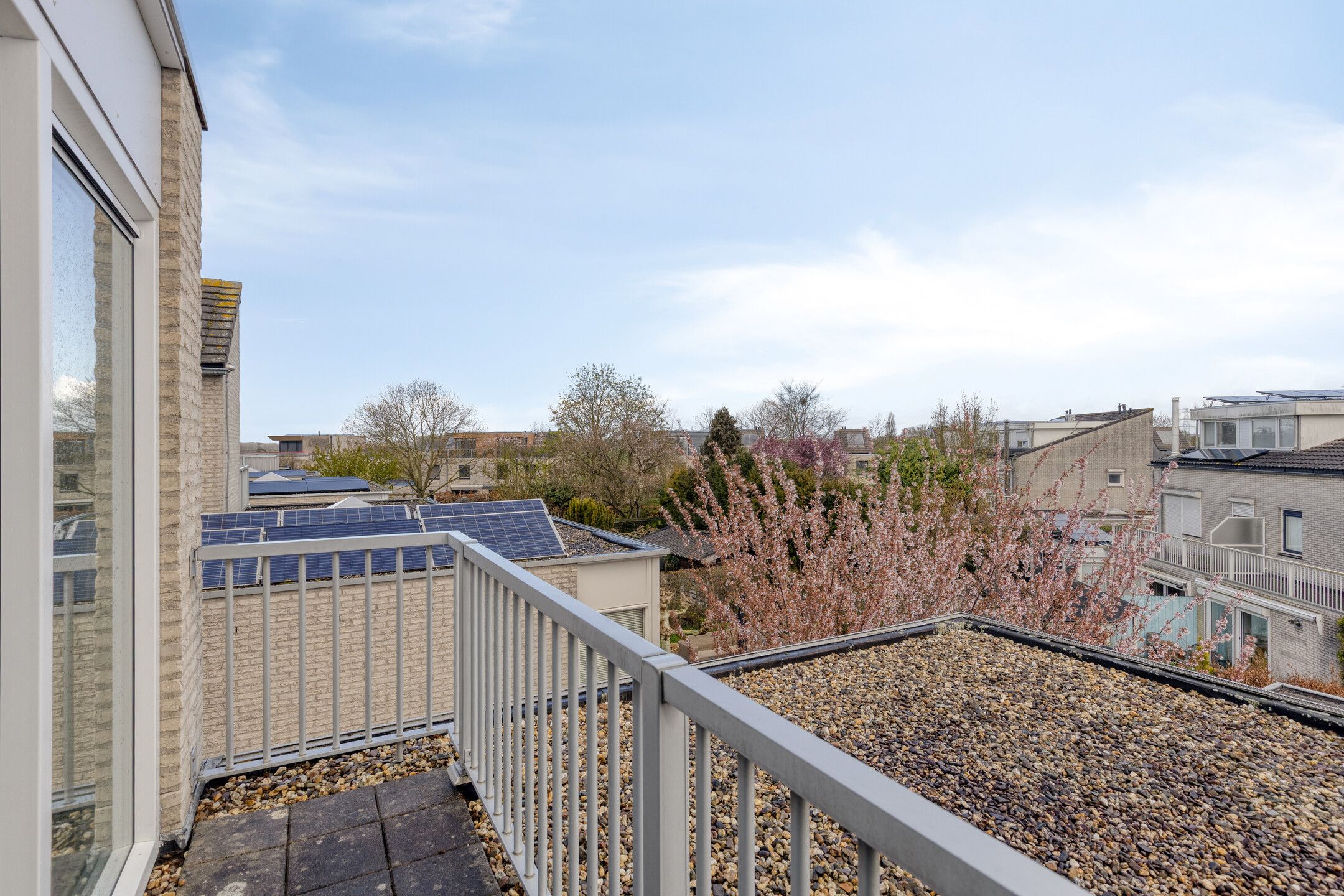 Foto 60 van Peregaard 38