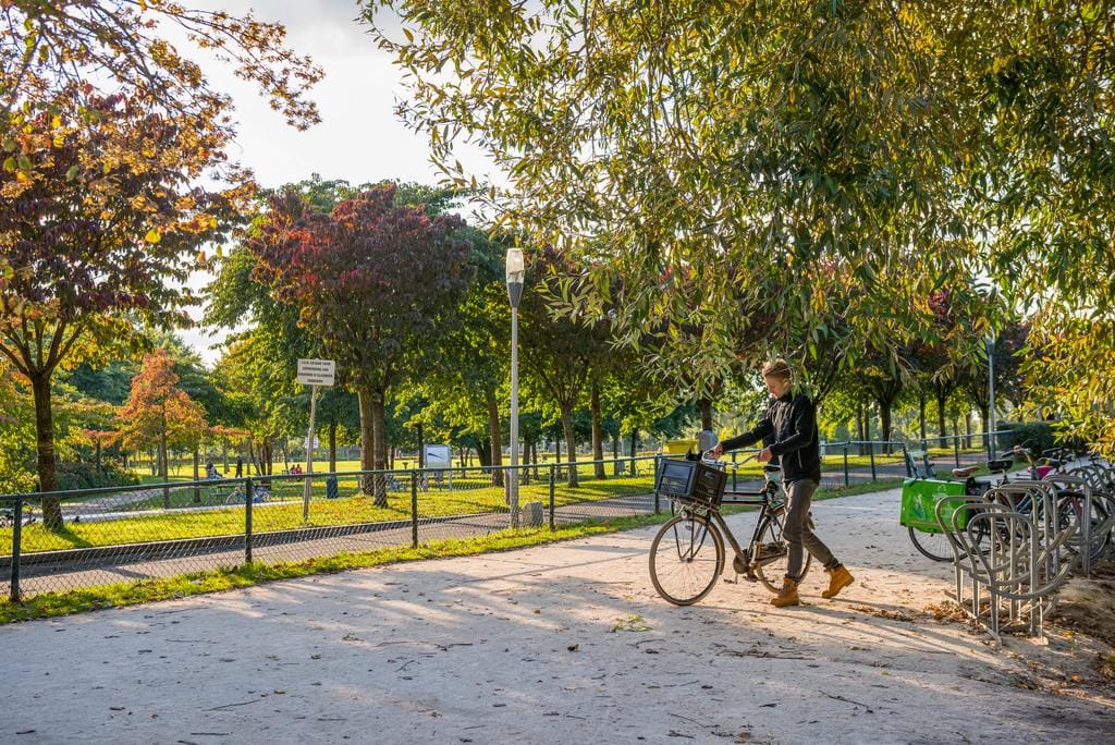 Foto 25 van Spitsbergenstraat 101