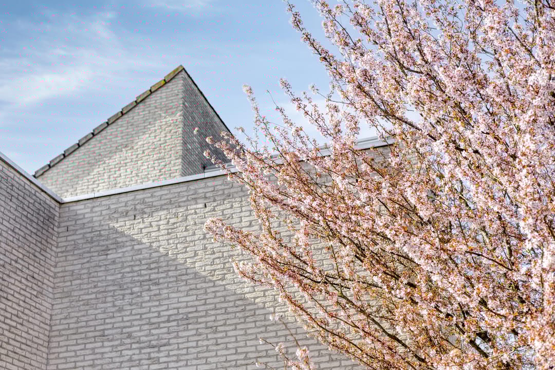 Foto 67 van Peregaard 38