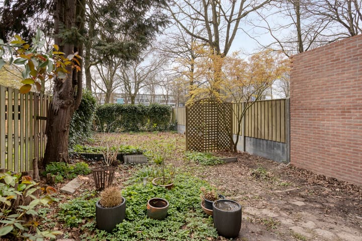 Photo 3 of Vossenpad 9