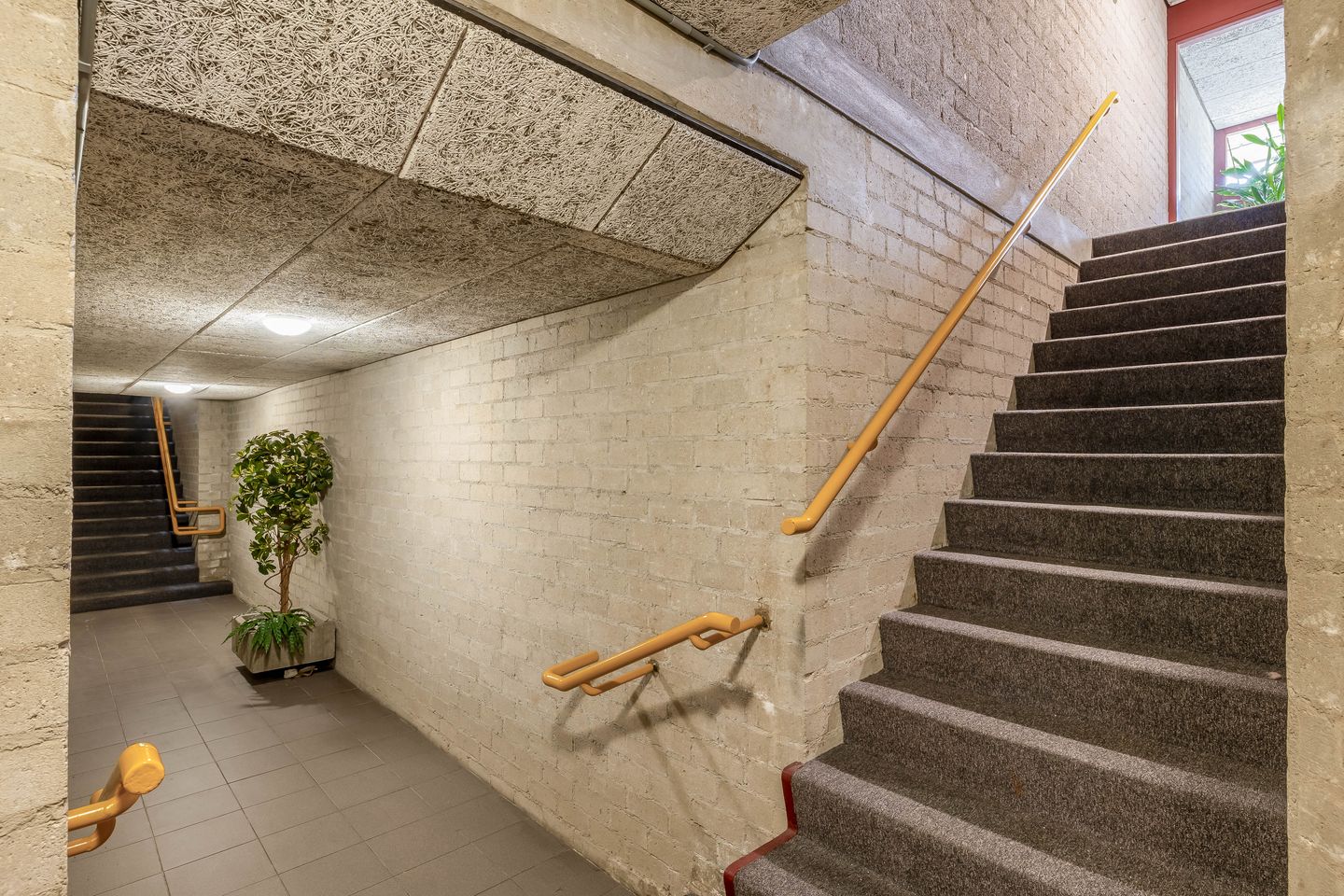 Photo 29 of Pastoor Castelijnsstraat 16-A