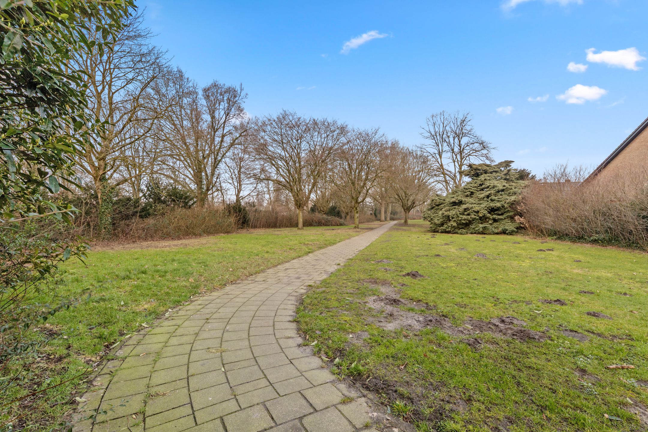 Photo 36 of Lodewijkdonk 50