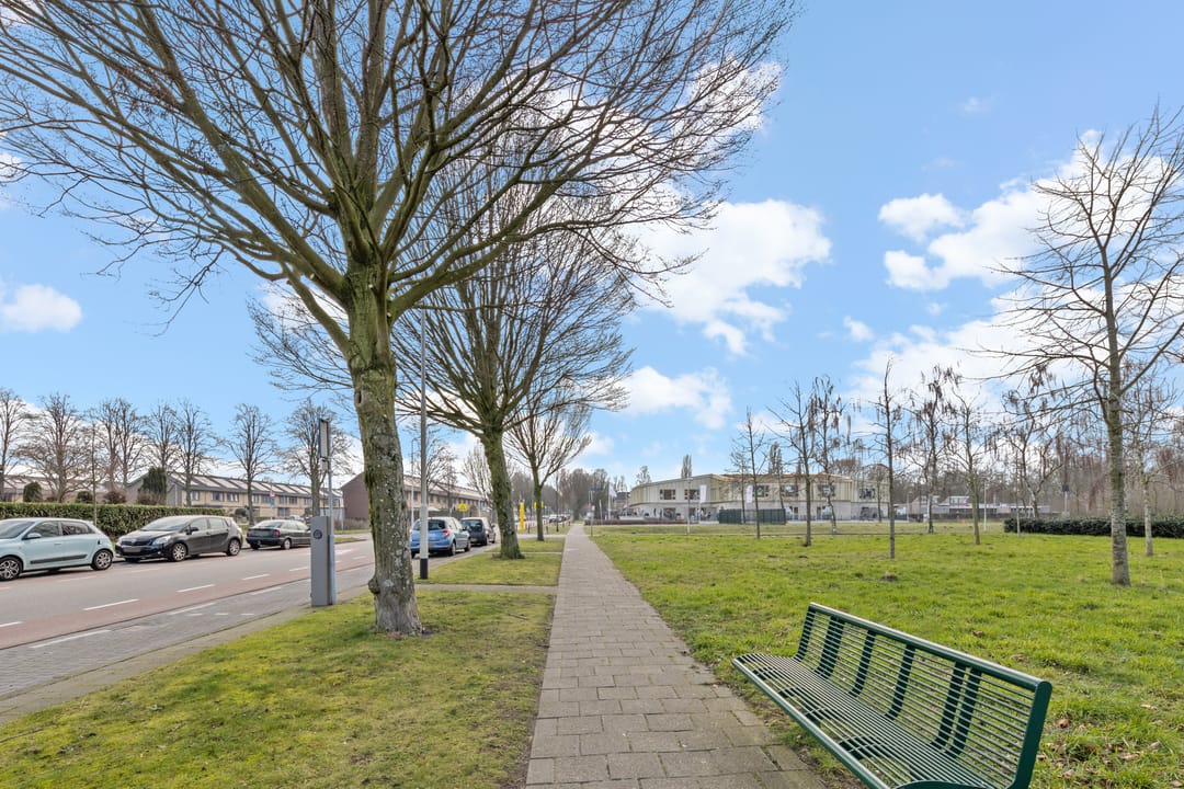 Photo 43 of Lodewijkdonk 50
