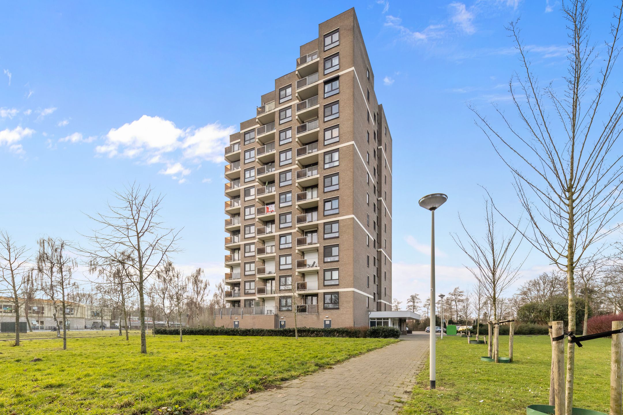 Photo 39 of Lodewijkdonk 50