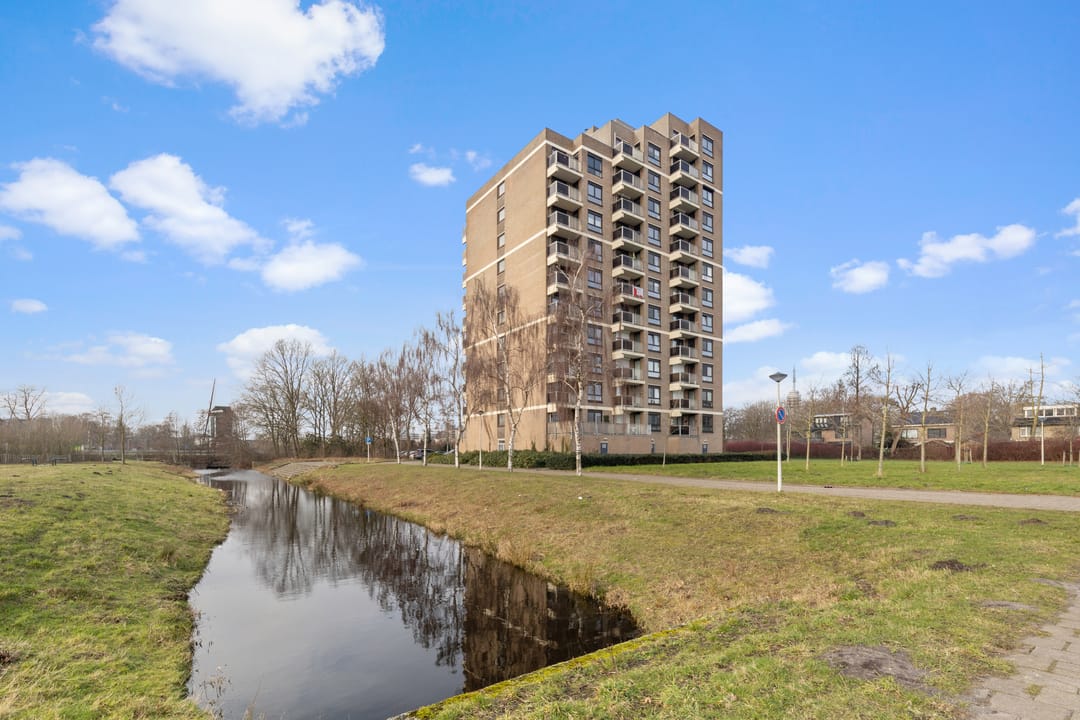 Photo 41 of Lodewijkdonk 50
