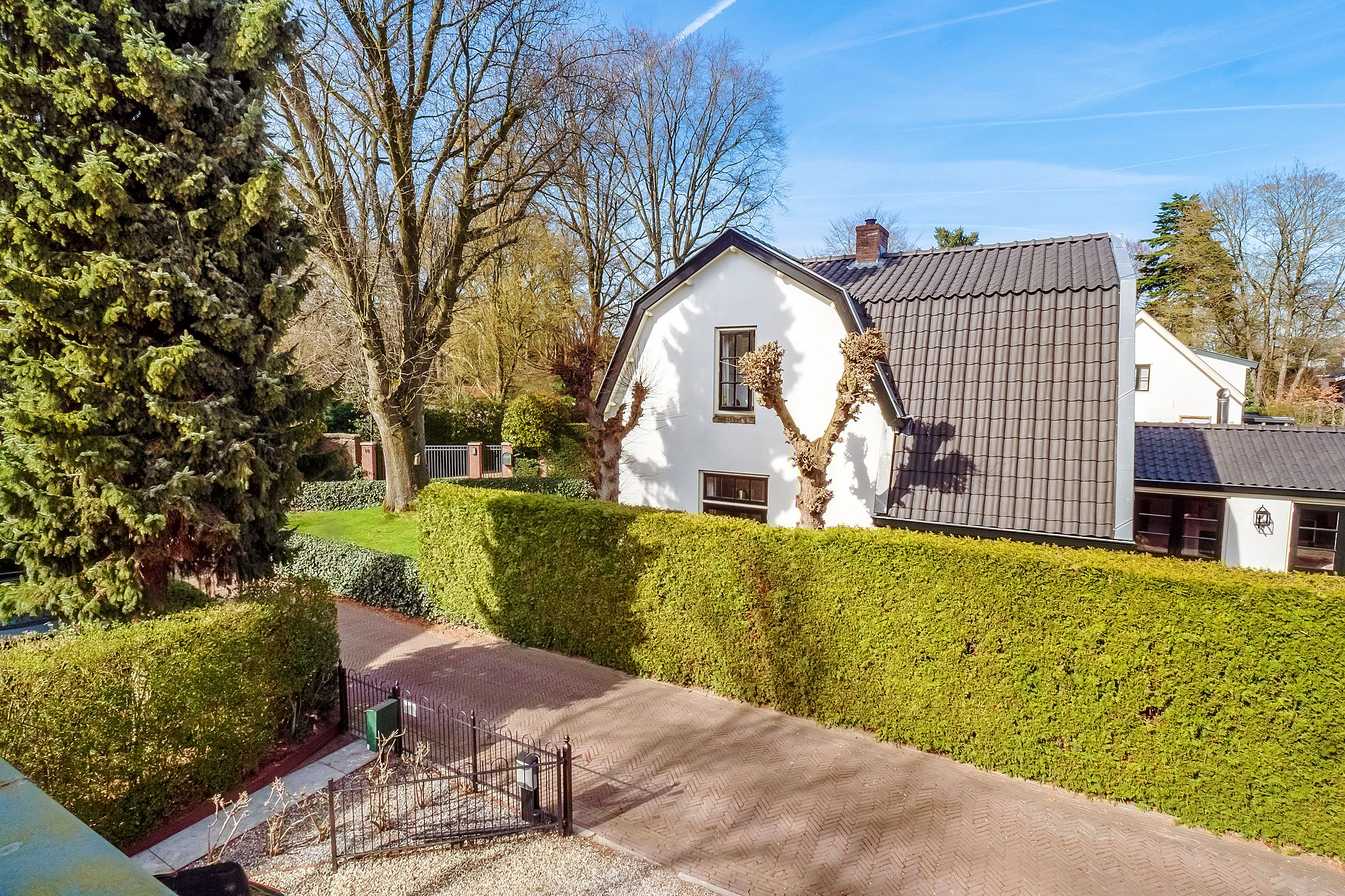 Photo 24 of Dammaat 9