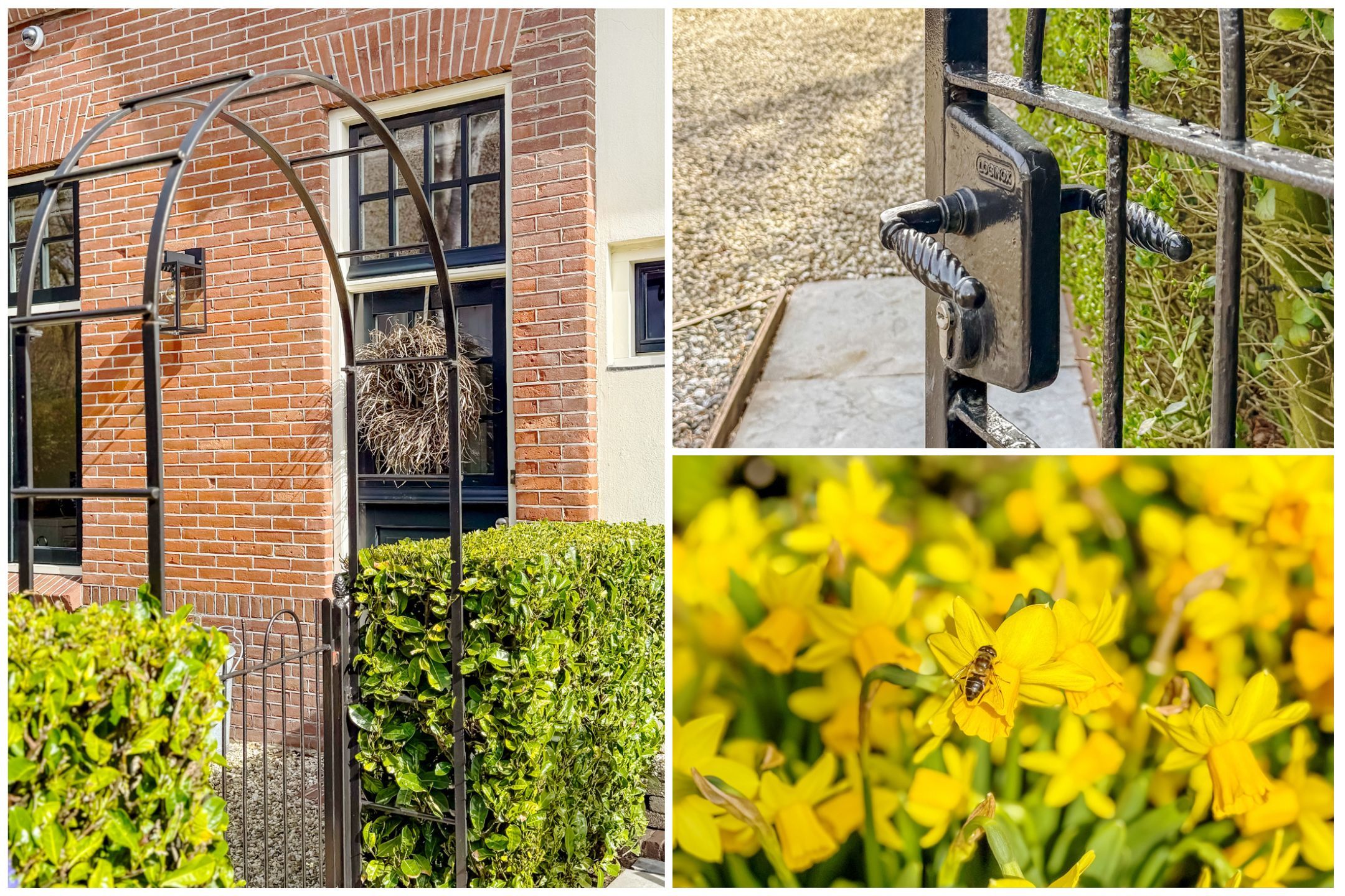 Photo 36 of Dammaat 9