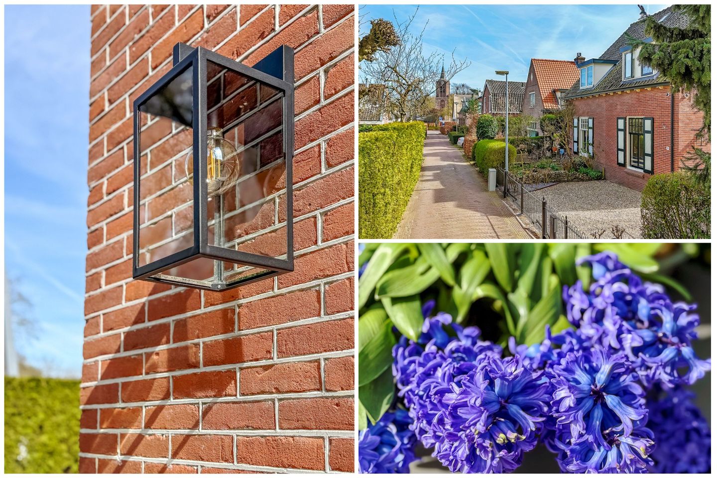 Photo 35 of Dammaat 9