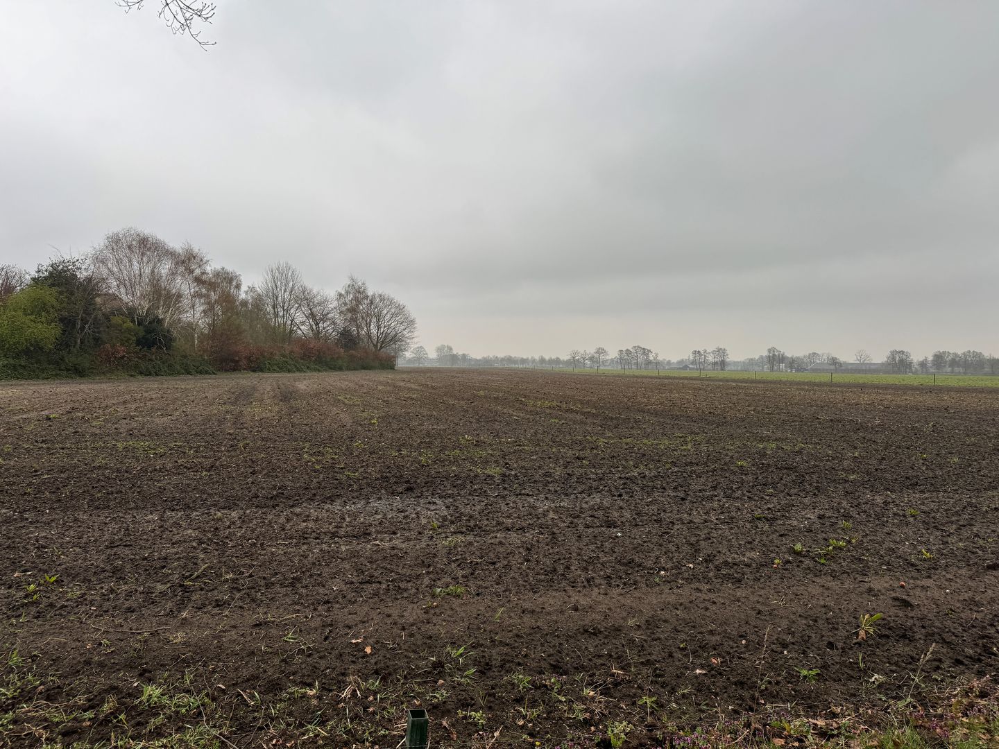 Bekijk foto 5 van Laarweg