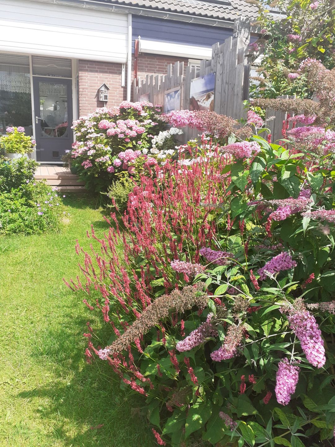 Foto 13 van Langebreek 37