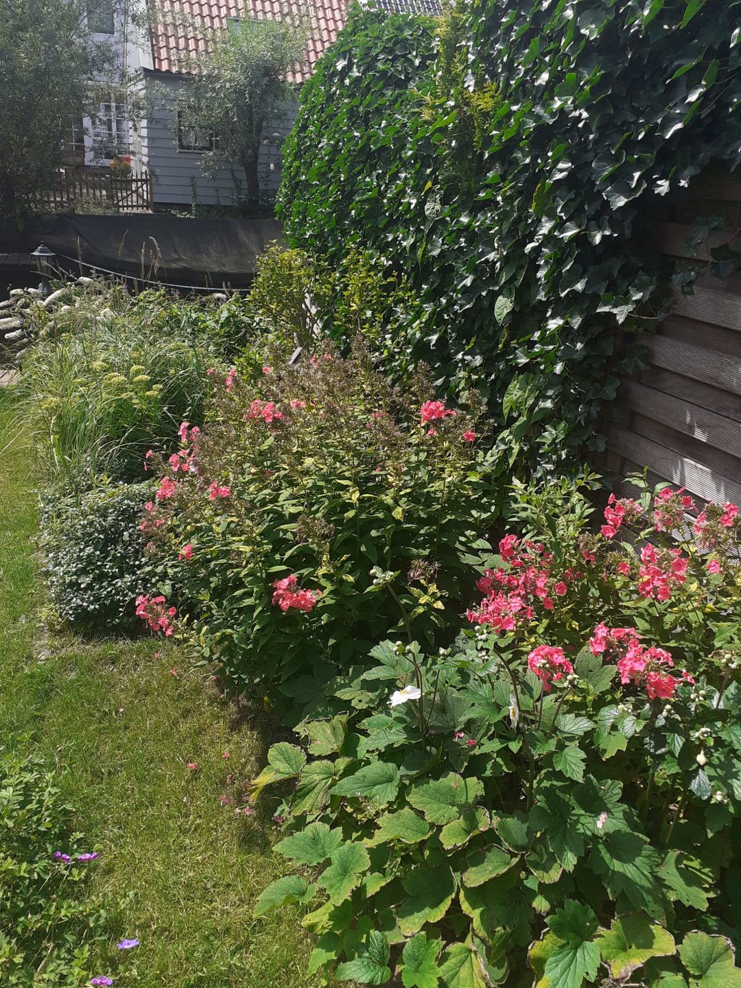 Foto 26 van Langebreek 37