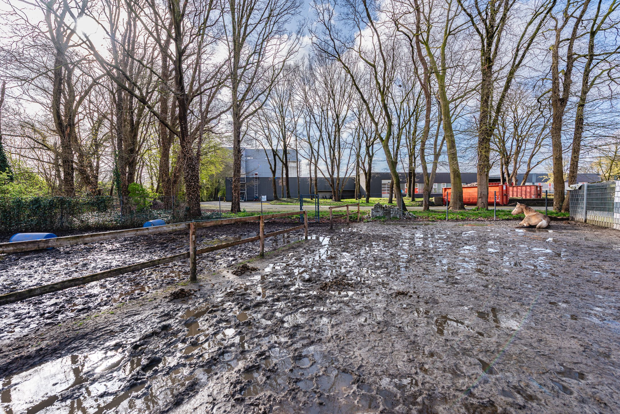 Spacious family home with equestrian facilities in Schüttorf — 37