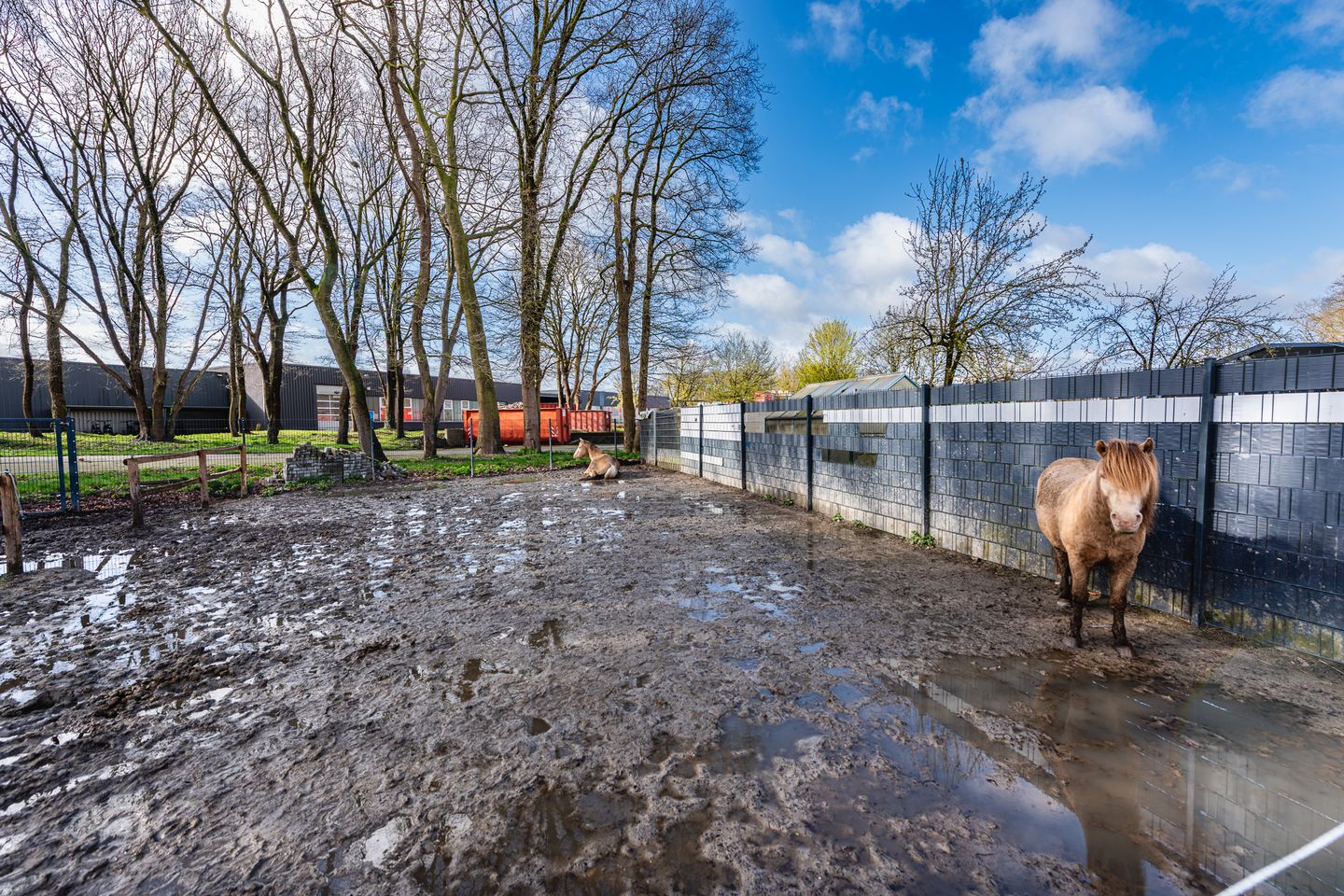 Spacious family home with equestrian facilities in Schüttorf — 38
