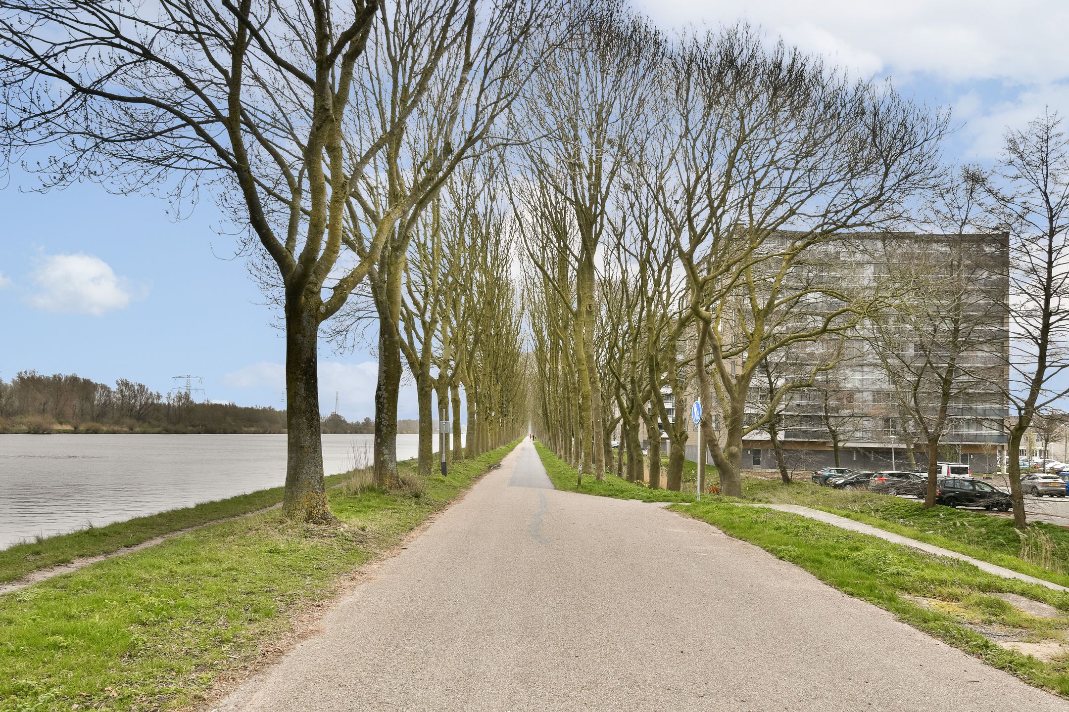 Foto 27 van Meerkoet 48