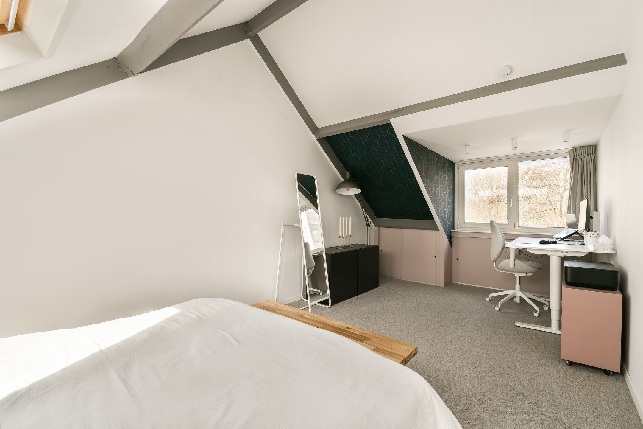 Foto 24 van Meerkoet 48