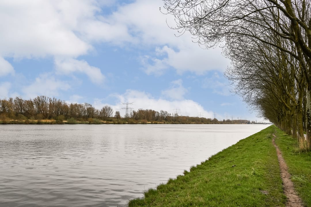 Foto 28 van Meerkoet 48