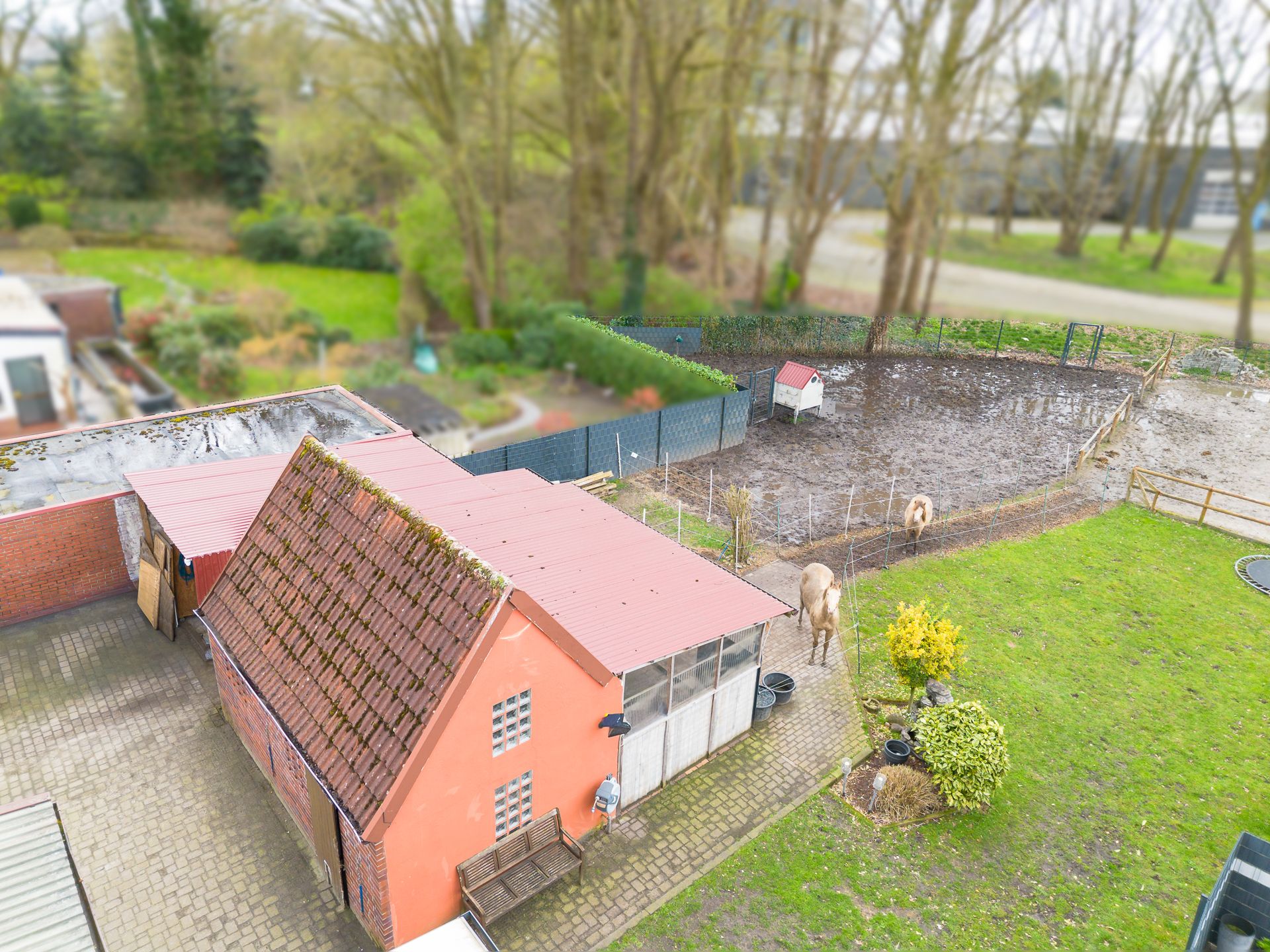Spacious family home with equestrian facilities in Schüttorf — 48