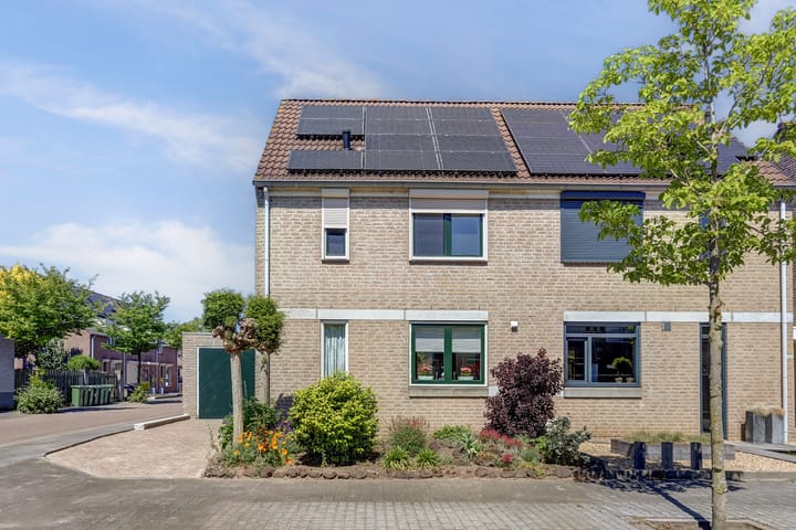 Foto 5 van Gele Lis 24