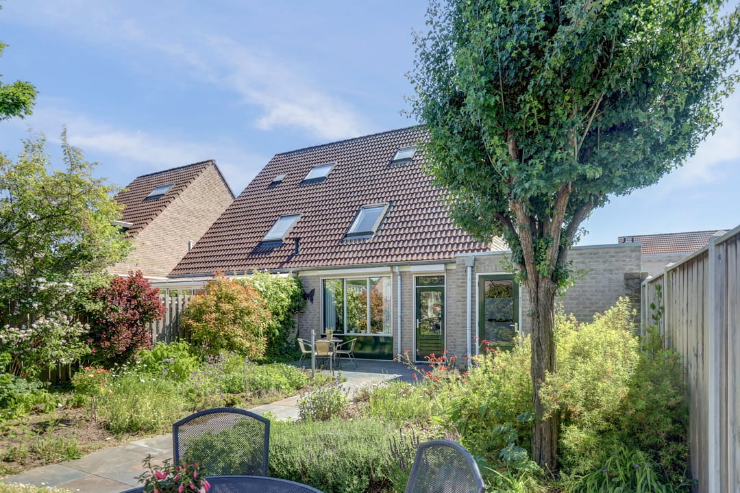 Photo 38 of Gele Lis 24