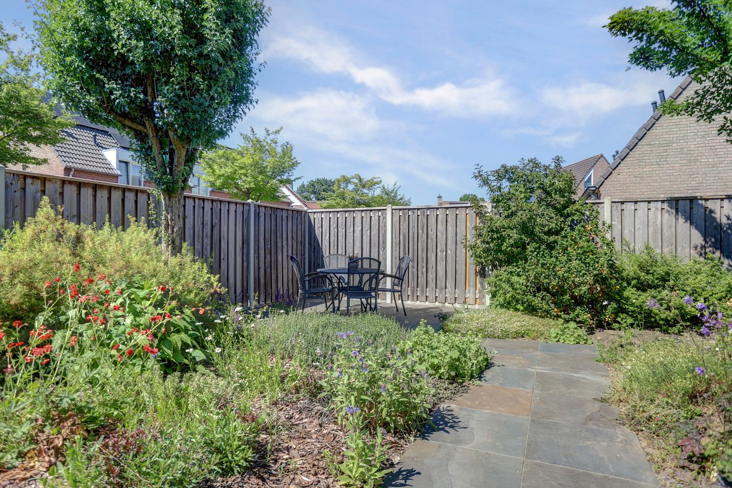 Photo 35 of Gele Lis 24